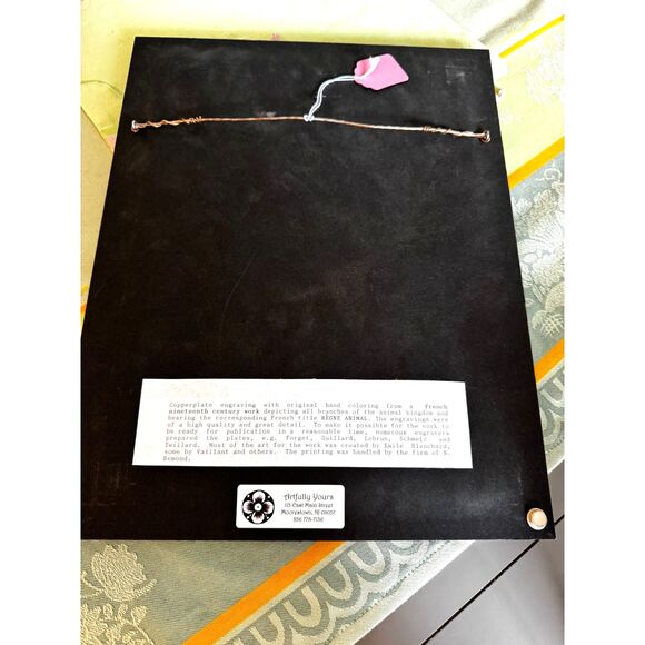 Stunning vintage copperplate engraving 19th century print bees and wasps framed - Picture 8 of 8